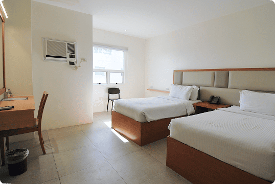 Standard Twinの写真