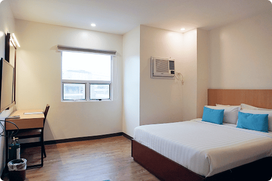 Standard Singleの写真